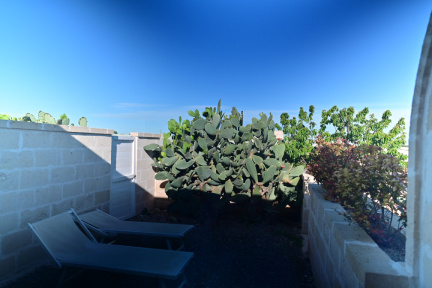 DSC 7098